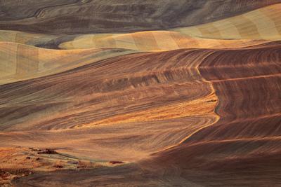 images of Palouse - Steptoe Butte