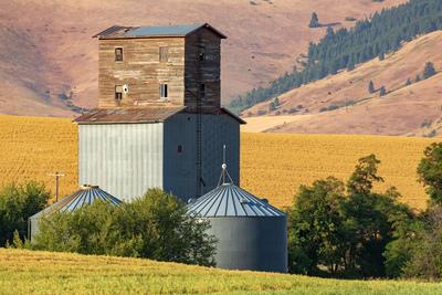 photography locations in Whitman County - Tekoa Grain Company Grain Elevator