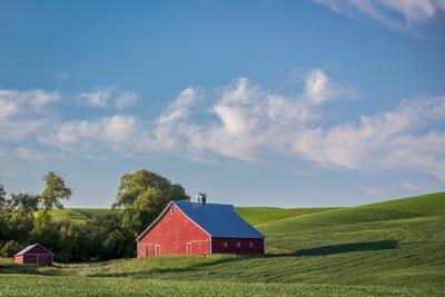images of Palouse - Thorn Creek Road Barn