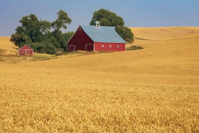 pictures of Palouse - Thorn Creek Road Barn