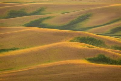 images of Palouse - West Steptoe Butte Viewpoint