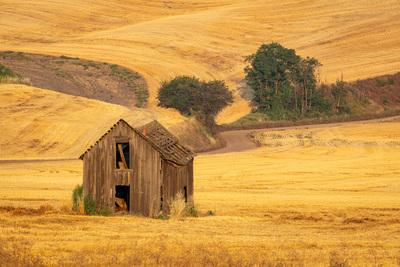 photo locations in Palouse - Wilcox