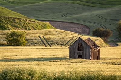 images of Palouse - Wilcox