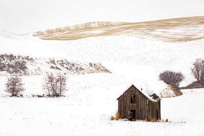pictures of Palouse - Wilcox