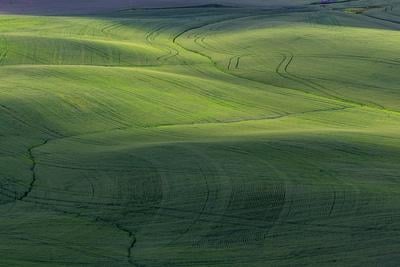 photography locations in Palouse - Woody Grade Road Viewpoint