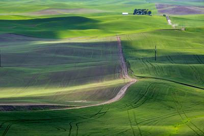 images of Palouse - Woody Grade Road Viewpoint