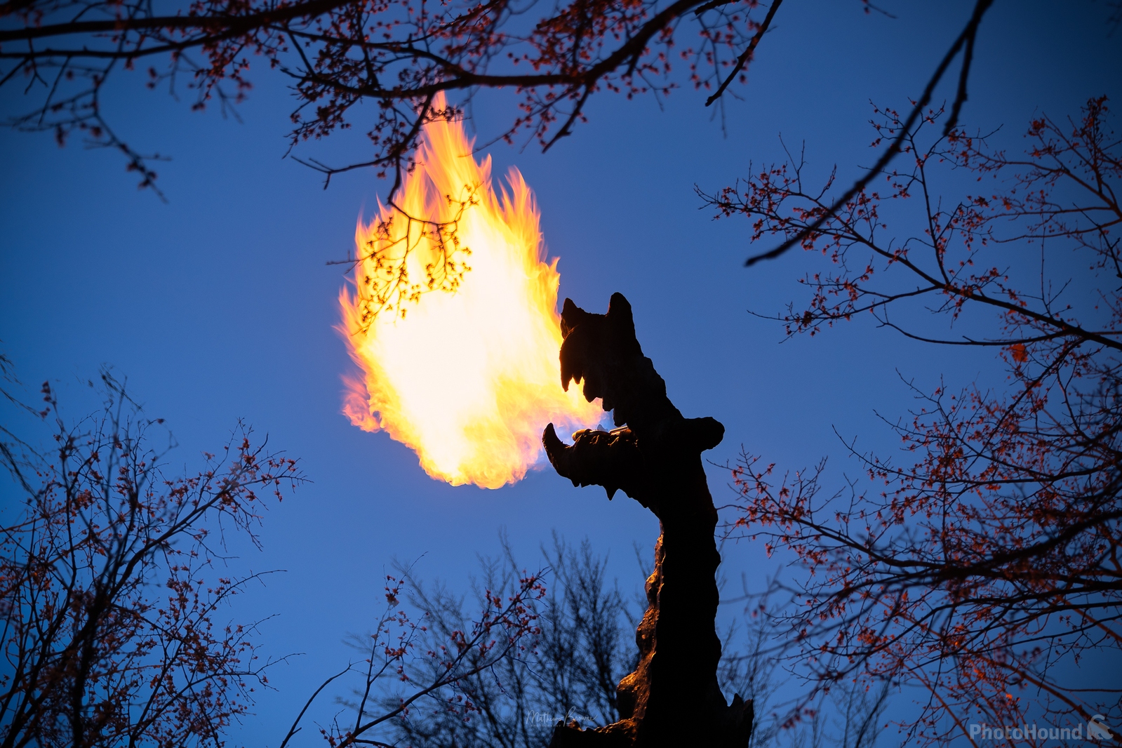 Image of Smok Wawelski (Fire Breathing Dragon) by Mathew Browne