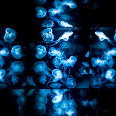 Vienna photo guide - Schonbrunn Zoo