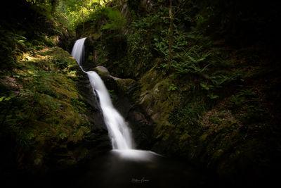 pictures of North Wales - Dolgoch Falls