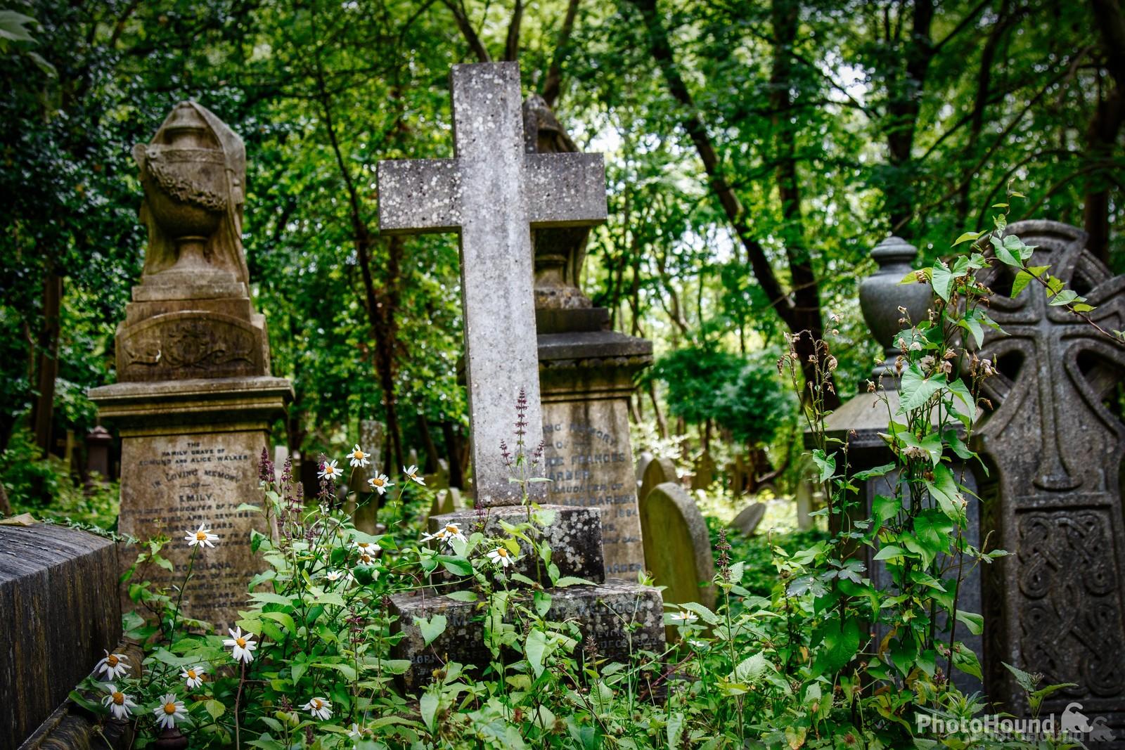 Image of Highgate Cemetery by Jules Renahan