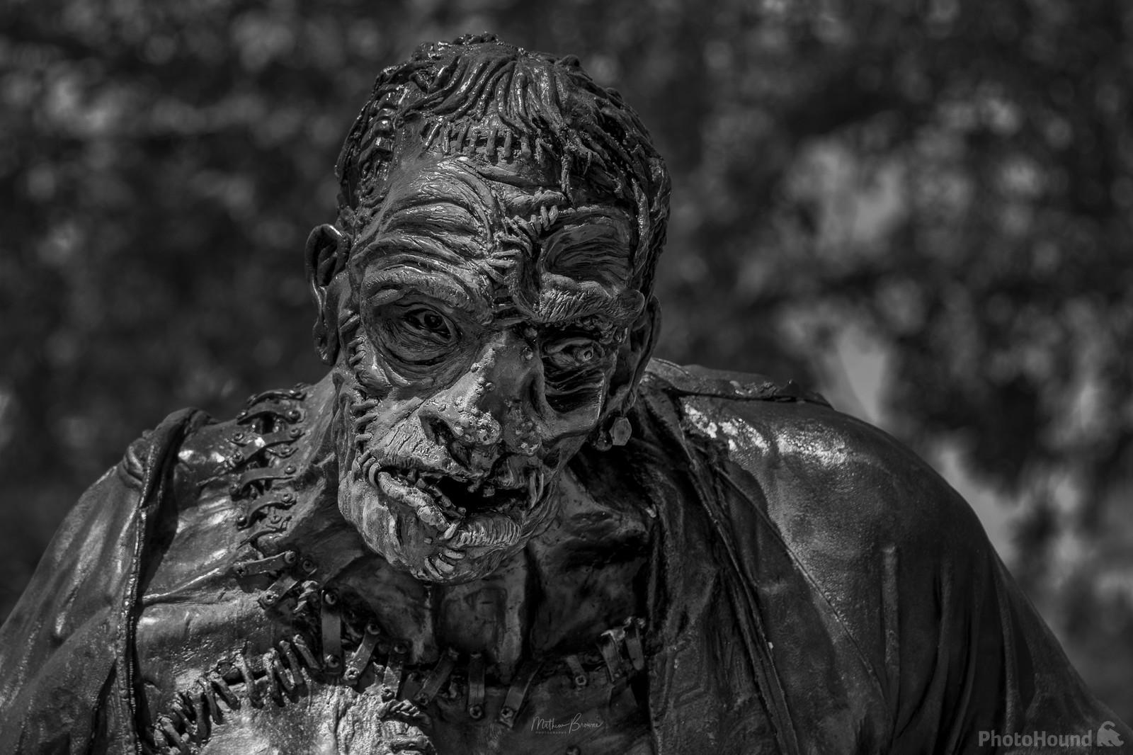 Image of Statue of Frankenstein\'s Monster by Mathew Browne
