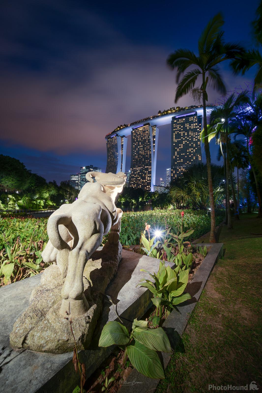 Image of Gardens By The Bay - Water Buffalo by Mathew Browne