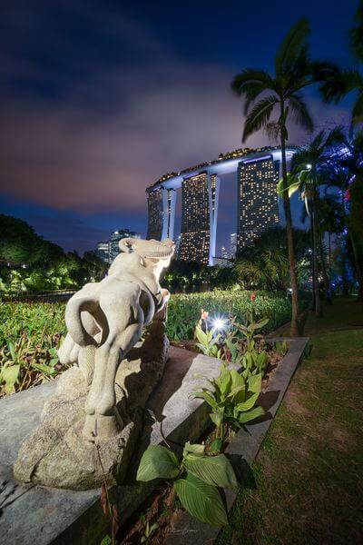 Singapore photography spots - Gardens By The Bay - Water Buffalo