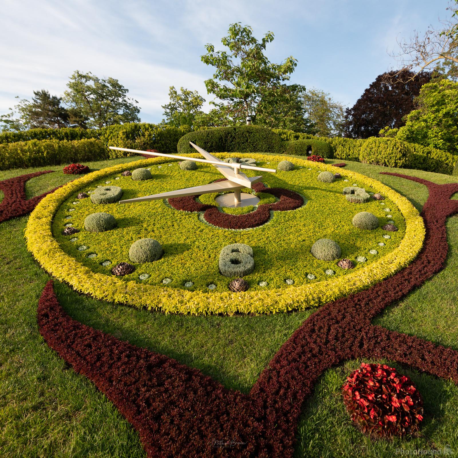 Image of Floral Clock by Mathew Browne