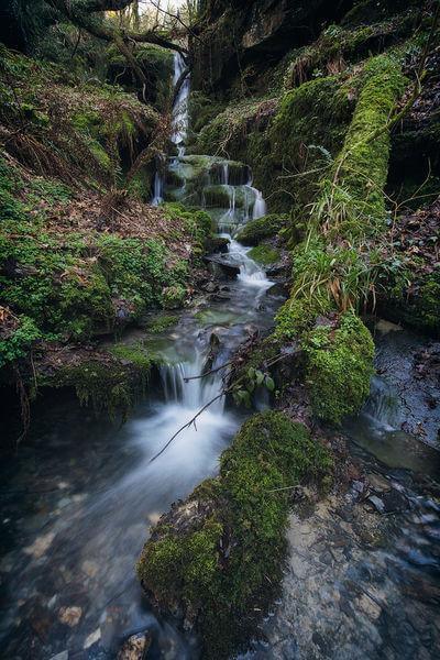 Picture of St Nectan's Glen and Waterfalls - St Nectan's Glen and Waterfalls