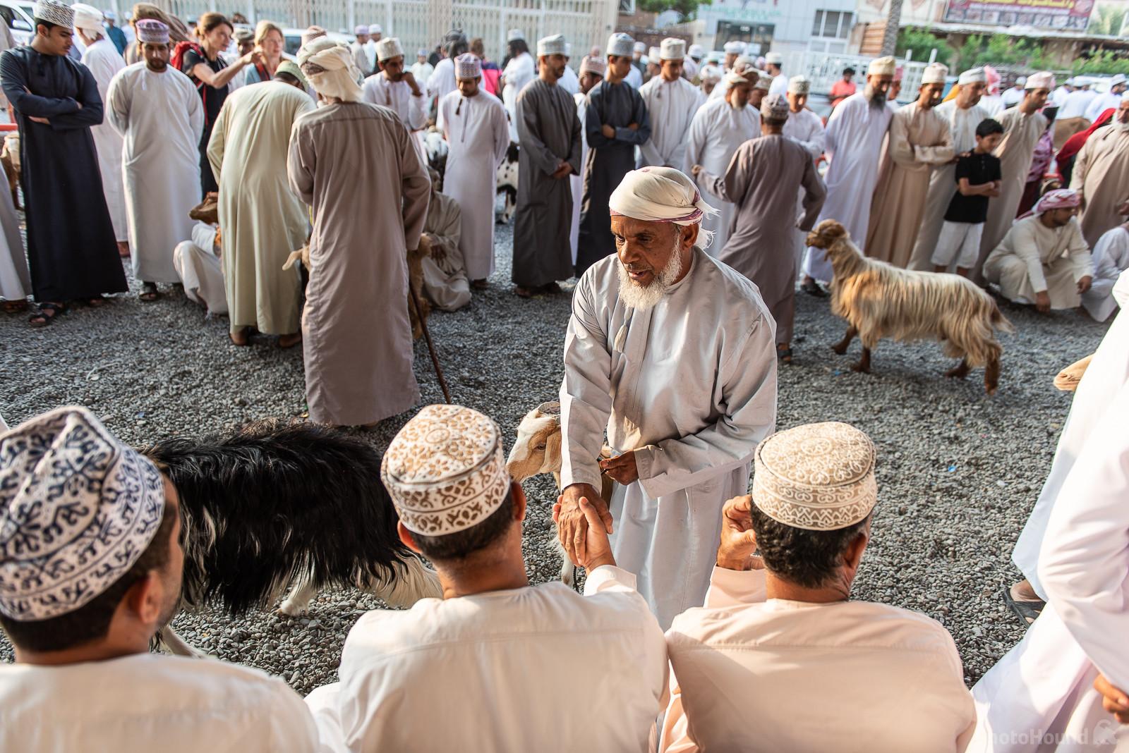 Image of The Goat Market in Nizwa, Oman by Miro Podgoršek