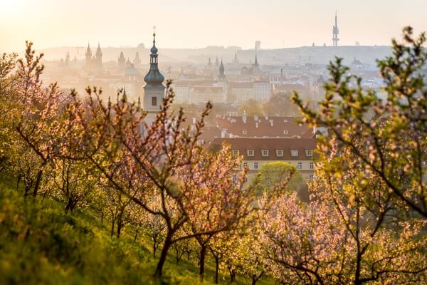 View through the orchard on the eastern side of Petřín hill.