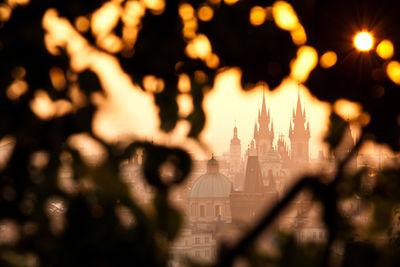 View of Prague towers through the branches in the orchard of the Petřín hill