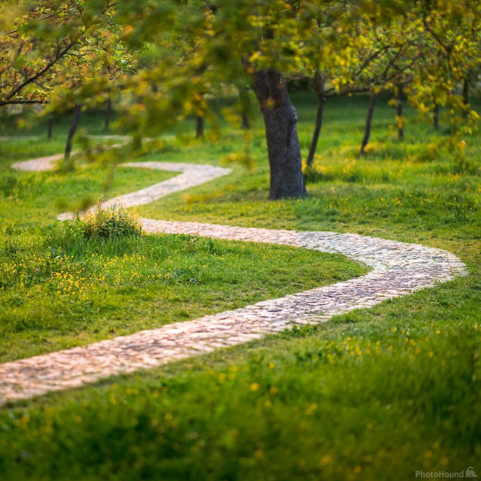 Image of Winding path at the Petrin hill by VOJTa Herout