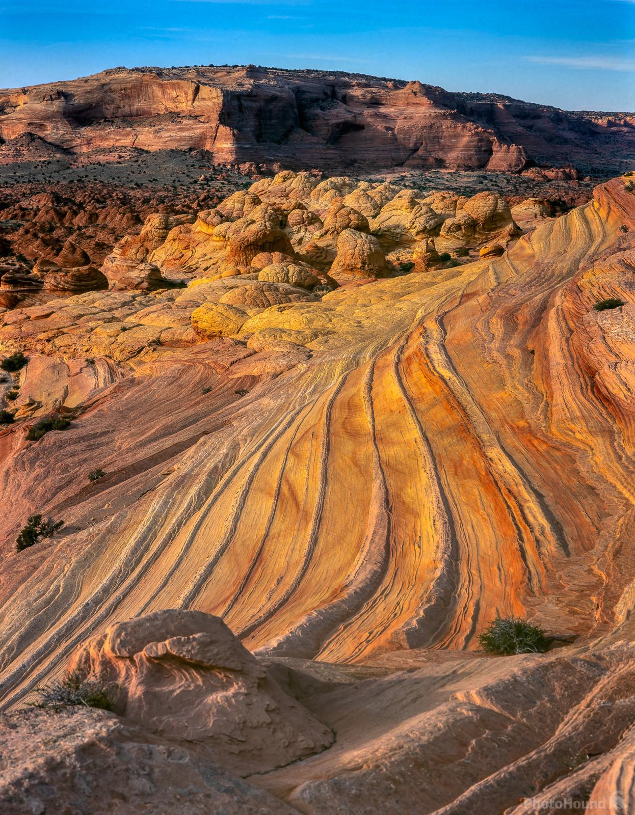 Image of Coyote Buttes North - Brainrocks & Waterpools by Laurent Martres