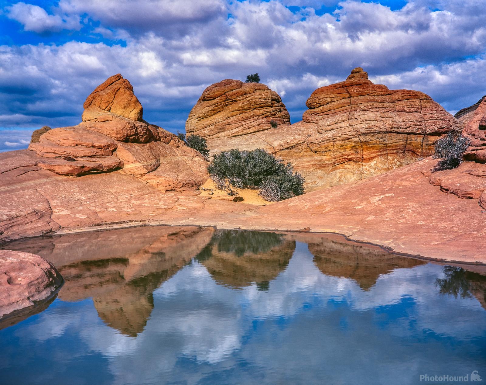 Image of Coyote Buttes North - Brainrocks & Waterpools by Laurent Martres