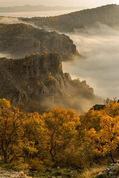 Bulgaria photos - Gorno Pole Hill