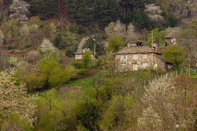 Bulgaria images - Bezvodno 