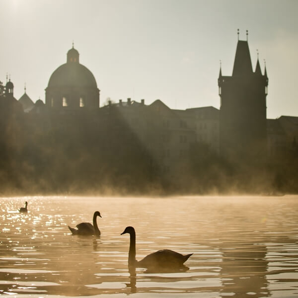 Morning atmosphere on the Vltava river from the view by Hergetova cihelna