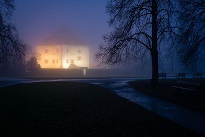 Foggy evening in the Hvězda park
