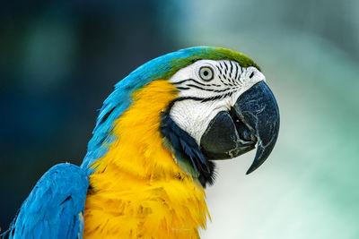 photography spots in Indonesia - Bali Bird Park