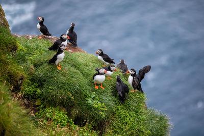 Faroe Islands photography guide