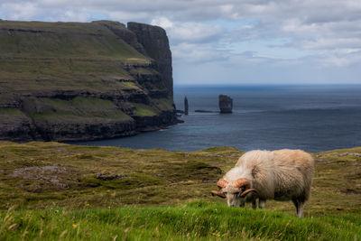 Faroe Islands instagram spots - View of Risin & Kellingin (Giant & the Witch)