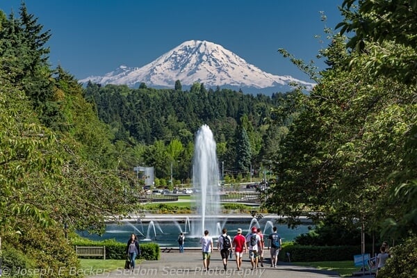 Rainier Vista, looking down to Drumheller Fountain and Mount Rainier from Red Square
