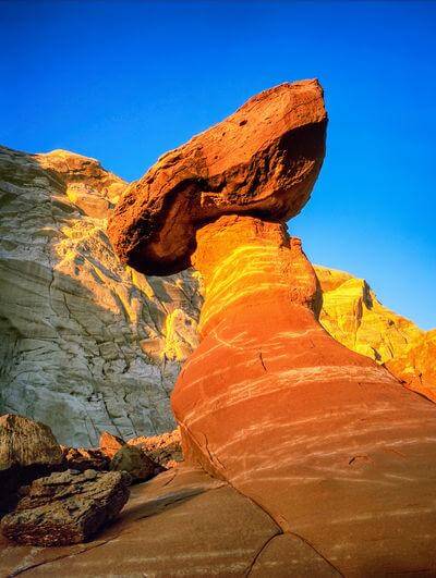 images of Coyote Buttes North & The Wave - Toadstool Hoodoo