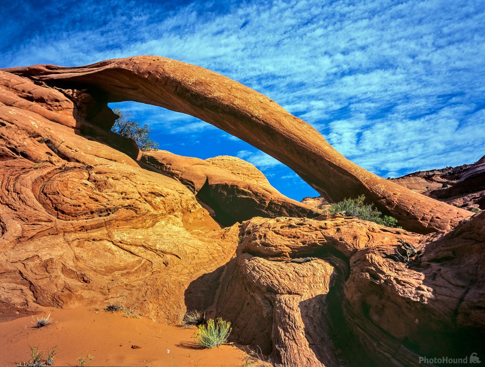 Image of Cobra Arch by Laurent Martres