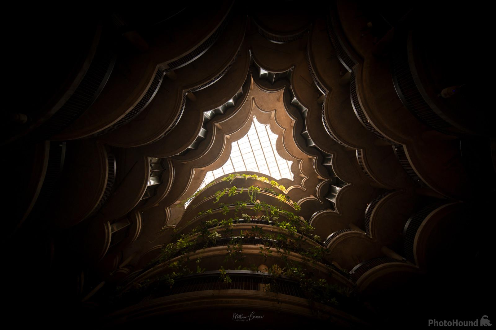 Image of The Hive - Interior by Mathew Browne