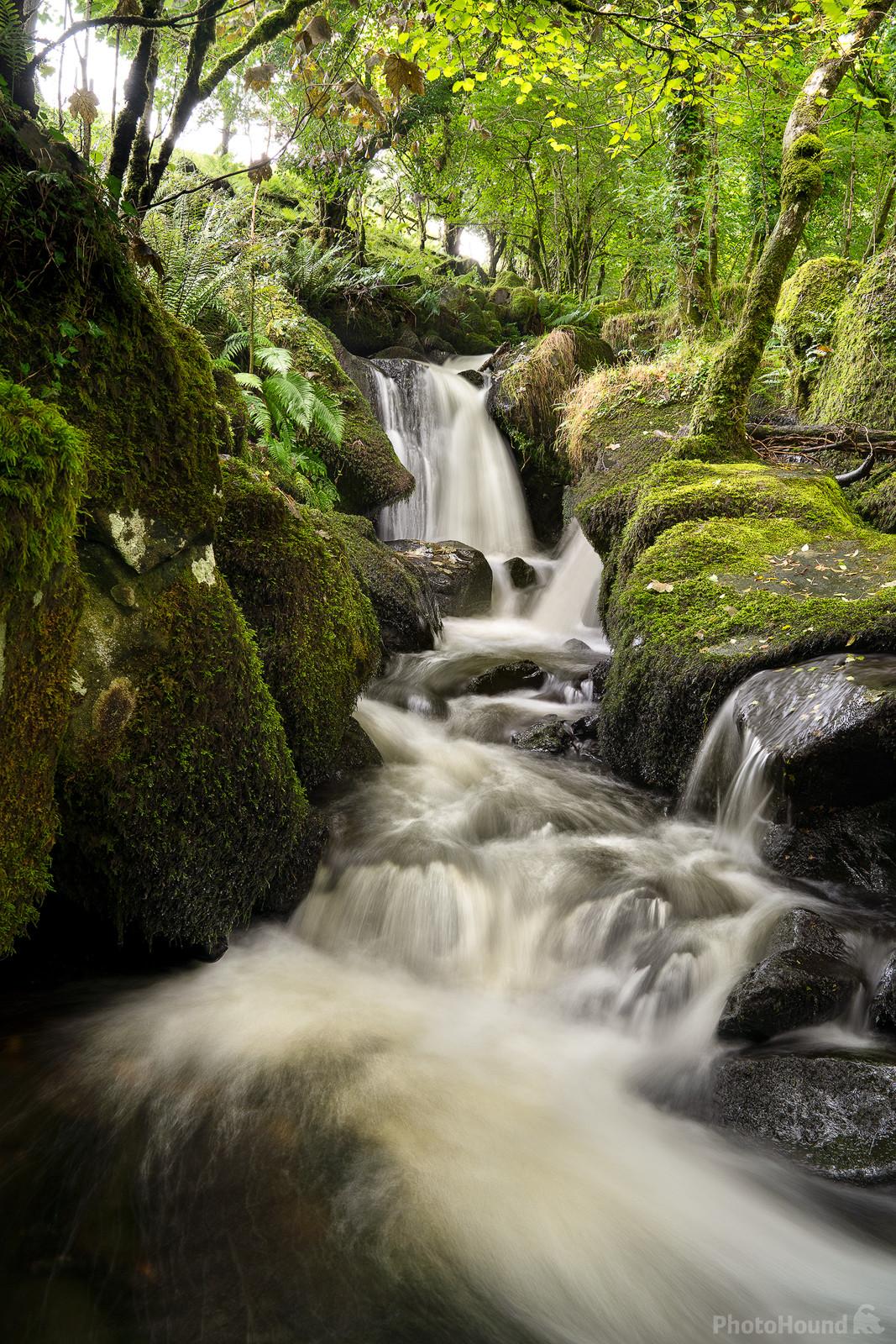 Image of Colly Brook Waterfalls by Richard Fox