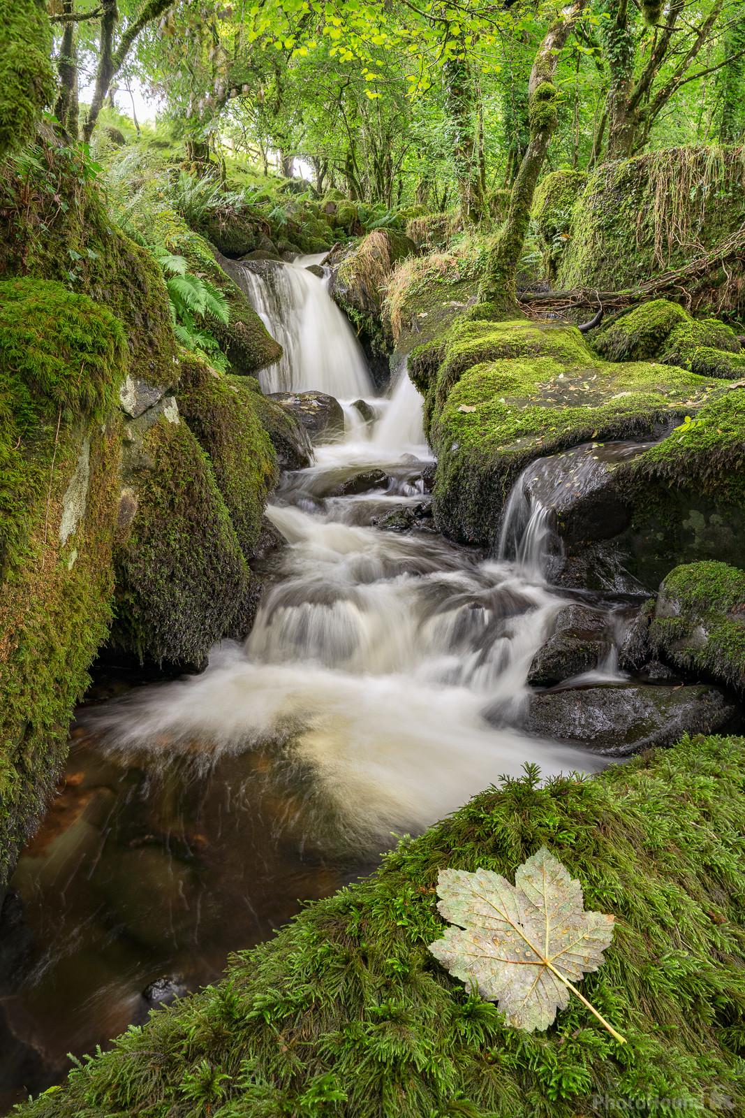 Image of Colly Brook Waterfalls by Richard Fox