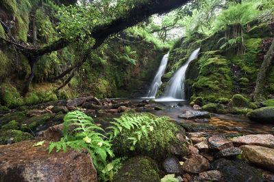 Dartmoor photography locations - Venford Falls