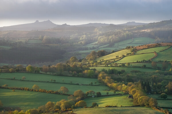 A view south west to Haytor on a foggy spring sunrise.