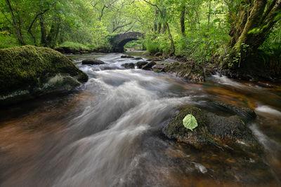 photo spots in Dartmoor - Hisley Bridge