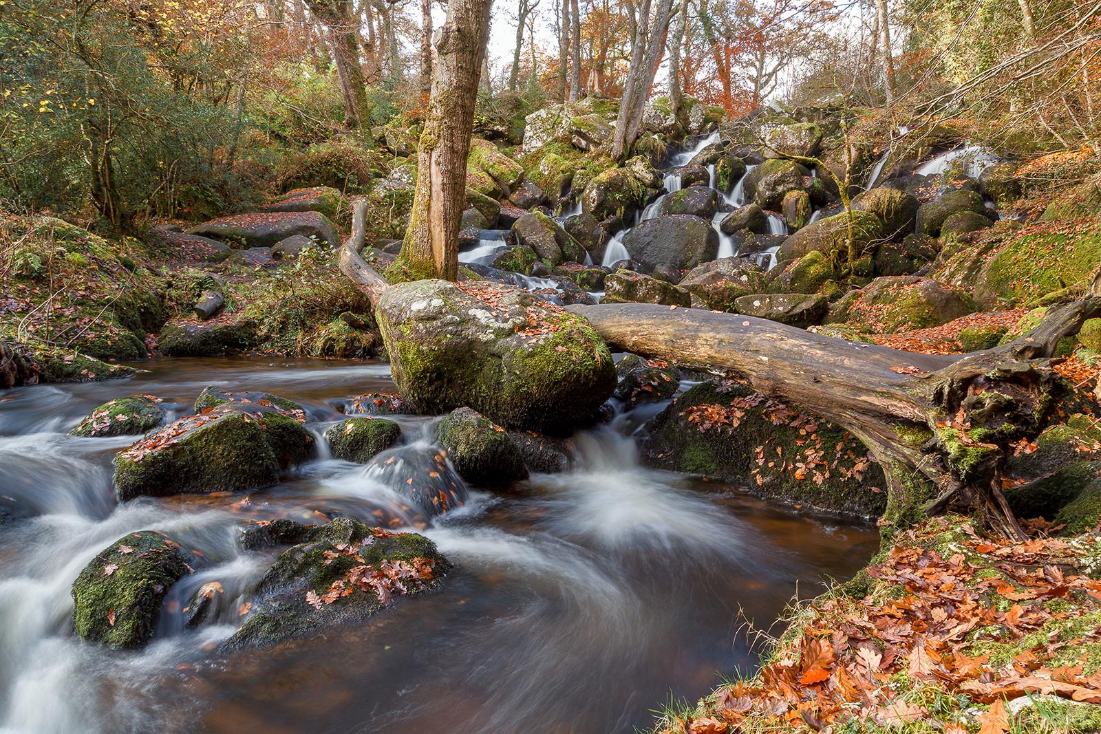 Image of Becky Falls by Richard Fox