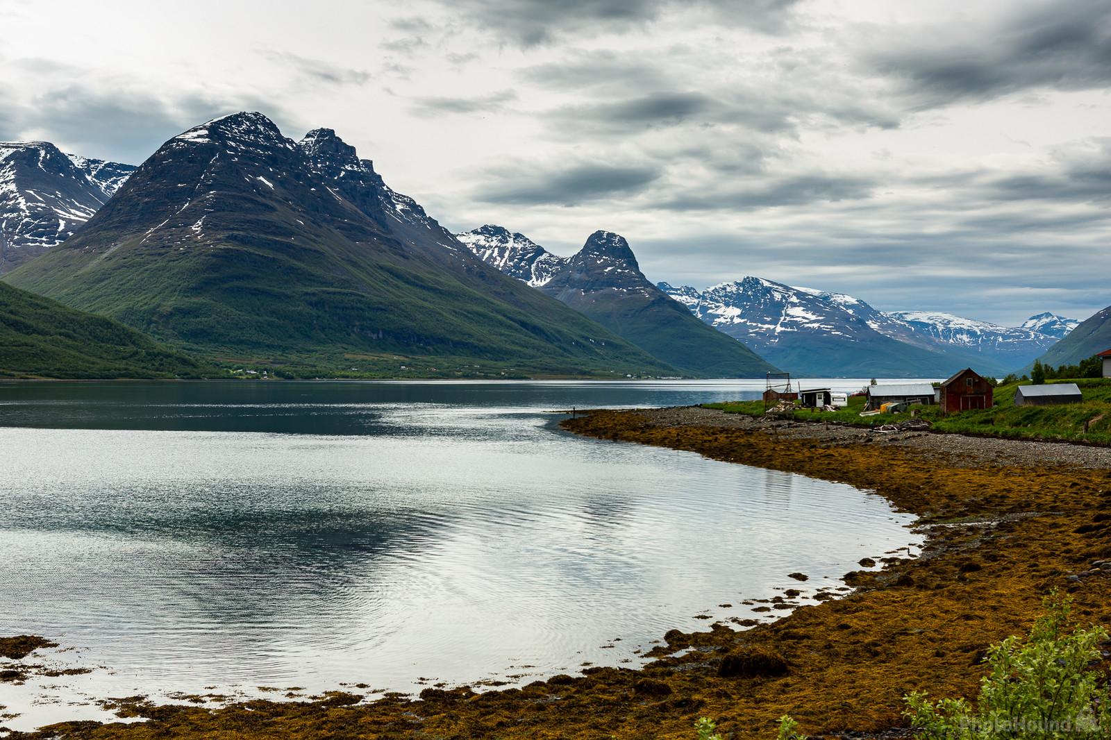 Image of Lyngen fjord by Dancho Hristov