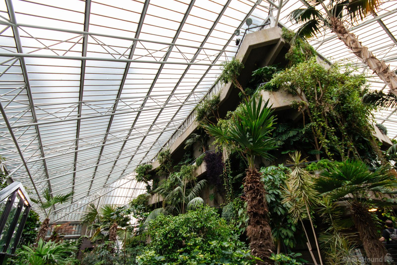 Image of Barbican Conservatory by Jules Renahan