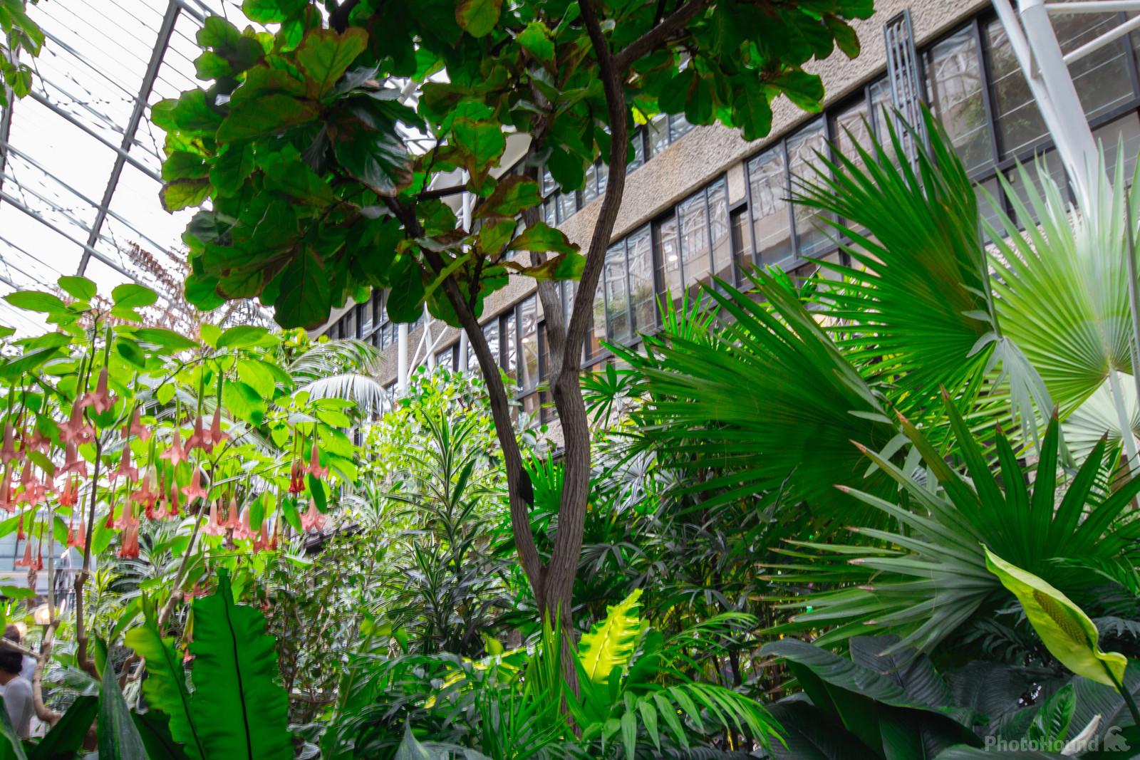 Image of Barbican Conservatory by Jules Renahan