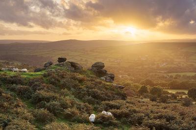 pictures of Dartmoor - Tunhill Rocks