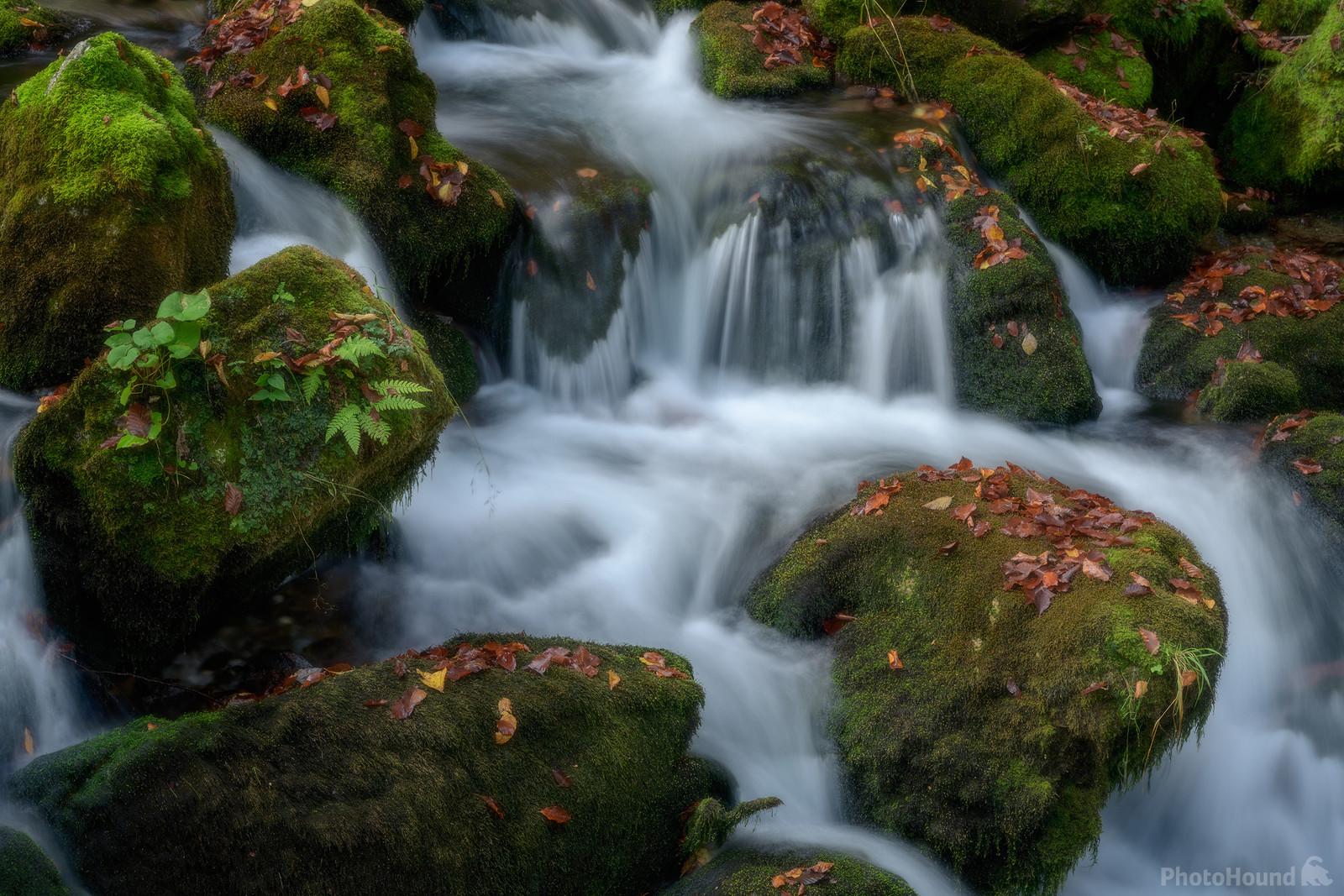 Image of Kroparica Stream by Luka Esenko