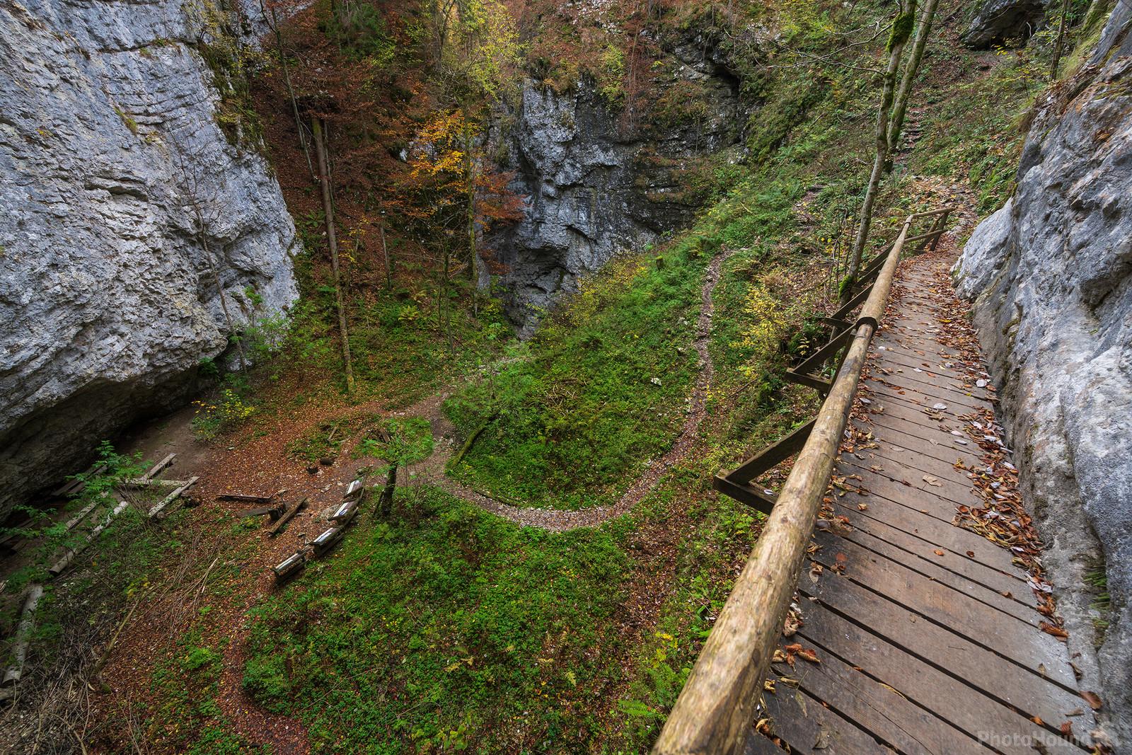 Image of Pokljuka Gorge by Luka Esenko