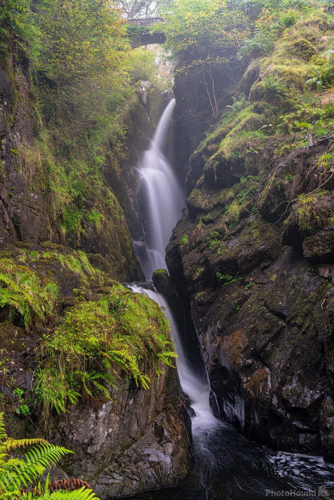 Image of Aira Force and High Forces, Lake District by Richard Lizzimore
