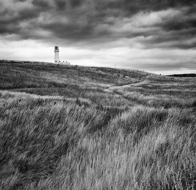 Lighthouse from the grasses